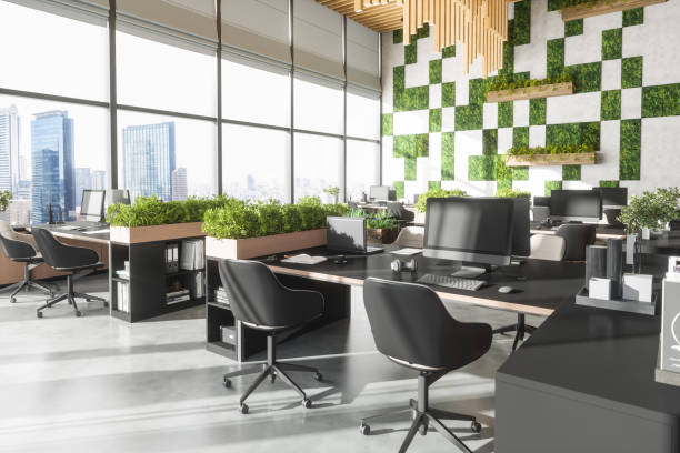 Custom Plant Arrangements